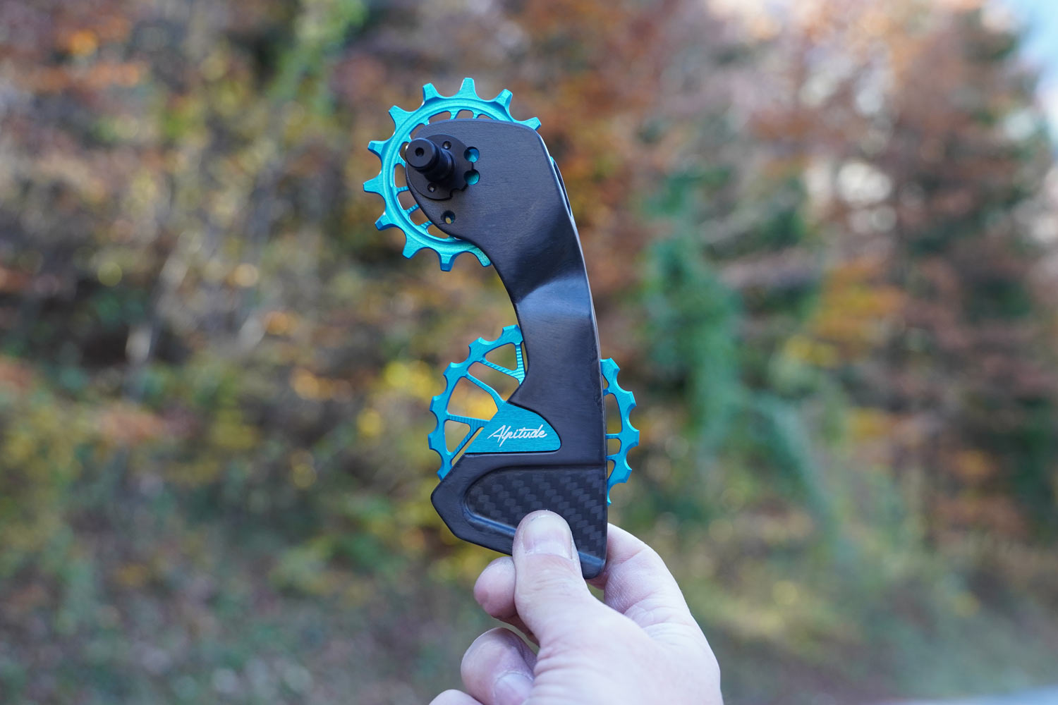 Alpitude Brandtal ODC SRAM Side