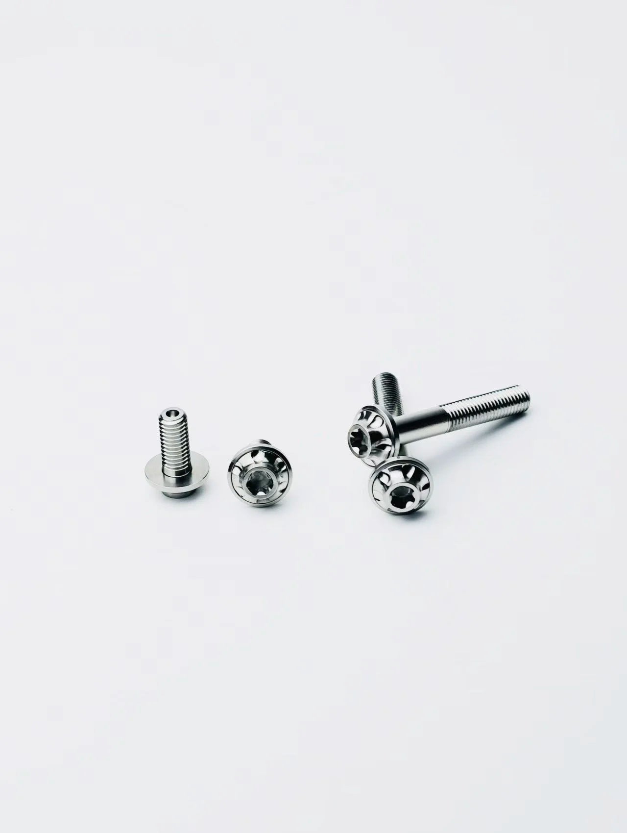 Ti-Master Caliper Screws