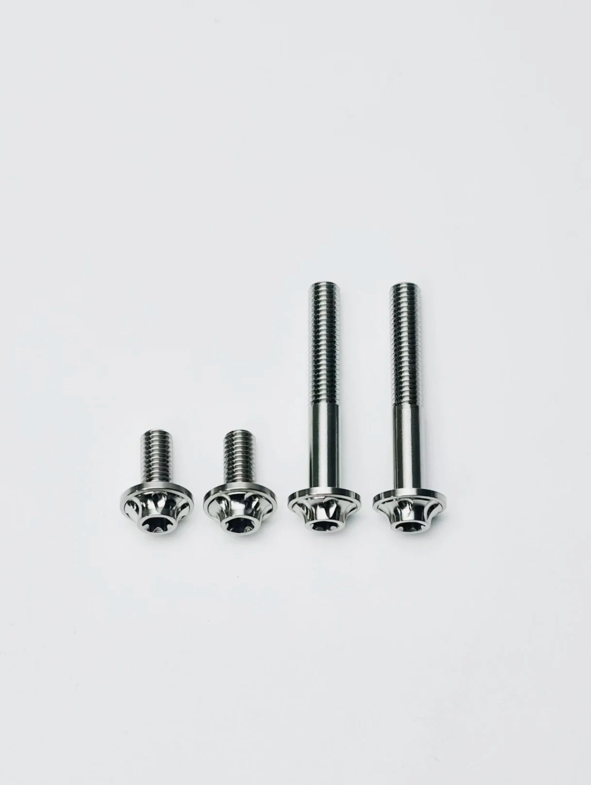 Ti-Master Caliper Screws Detail